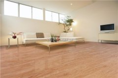 也能够扫描左下方